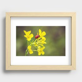 Ladybug on Yellow Recessed Framed Print