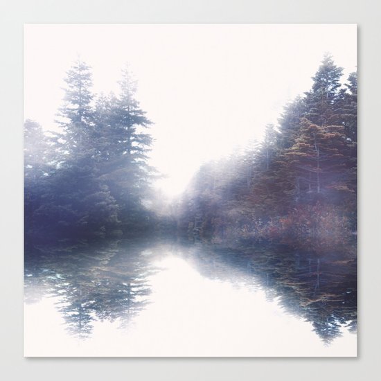 Serene reflections Canvas Print