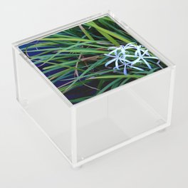 Blooming by the Pond Acrylic Box