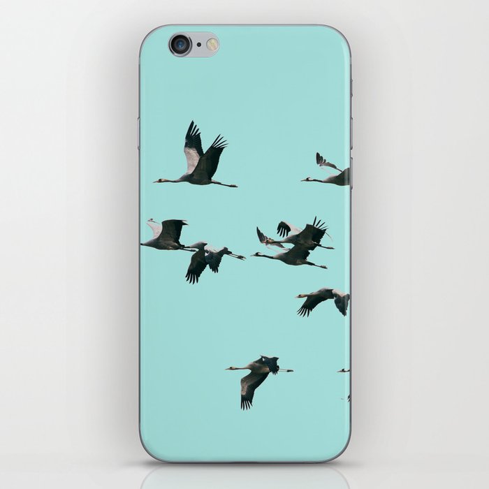 Flying South iPhone Skin