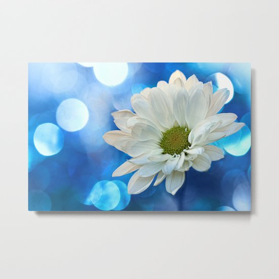 White Daisy on Blue Metal Print