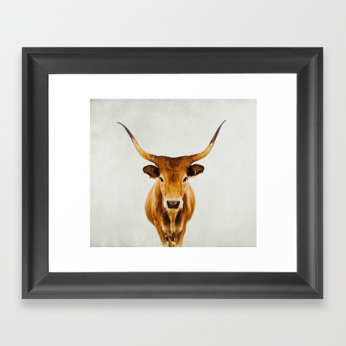 Wild Longhorn Cow Print - Tan Colored Cow - travel photography by Ingrid Beddoes Framed Art Print