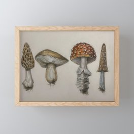 Field Notes: Mushrooms Framed Mini Art Print