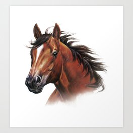 Horse Portrait Art Print
