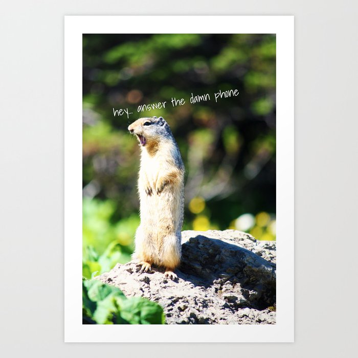 Angry Squirrel Art Print