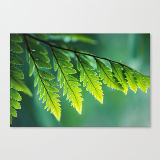 Shades of Green Canvas Print