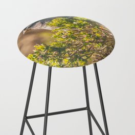 Behind the Branches  Bar Stool