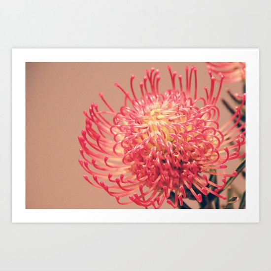 Philadelphia Flower Show Art Print