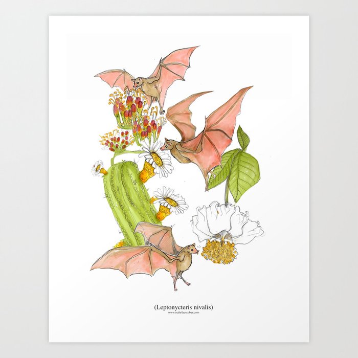 Agave Bats Art Print