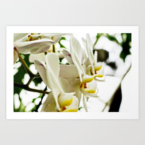 Get My Good Side Art Print
