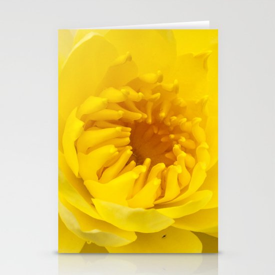 Yellow Lily Stationery Cards