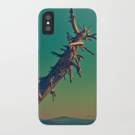 masonry iPhone Case