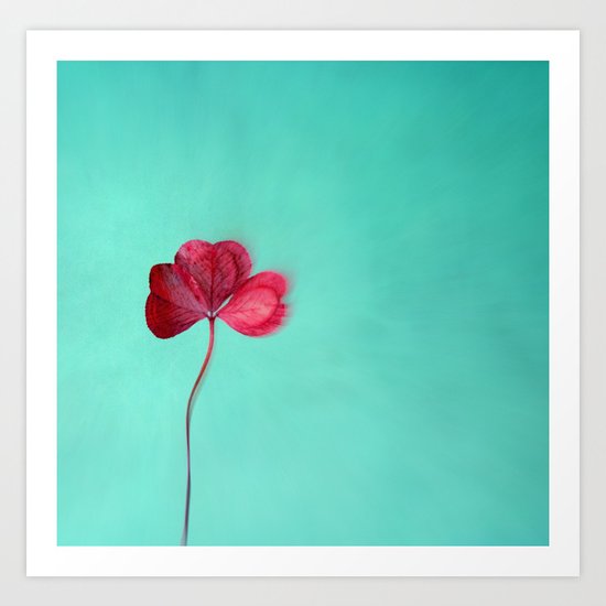 clover II Art Print