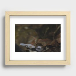 droplet catching itself Recessed Framed Print