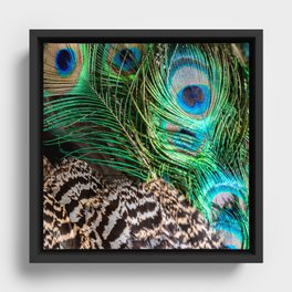 Peacock Framed Canvas