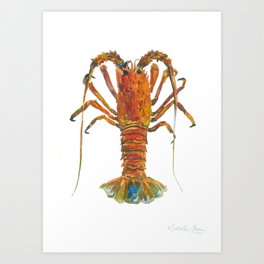 Spiny lobster Art Print