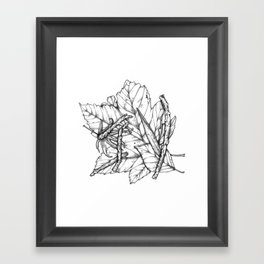 Leaves and Sticks Framed Art Print