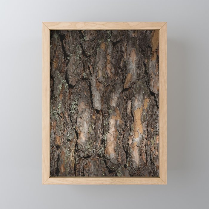 Pine bark close-up Framed Mini Art Print