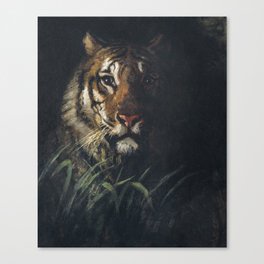 Tiger's Head  Canvas Print