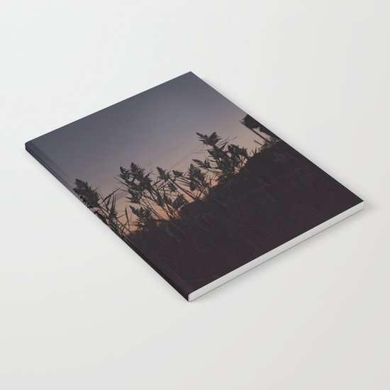 Phragmites silhouette at sunset Notebook