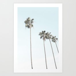 Palm Trees Art Print
