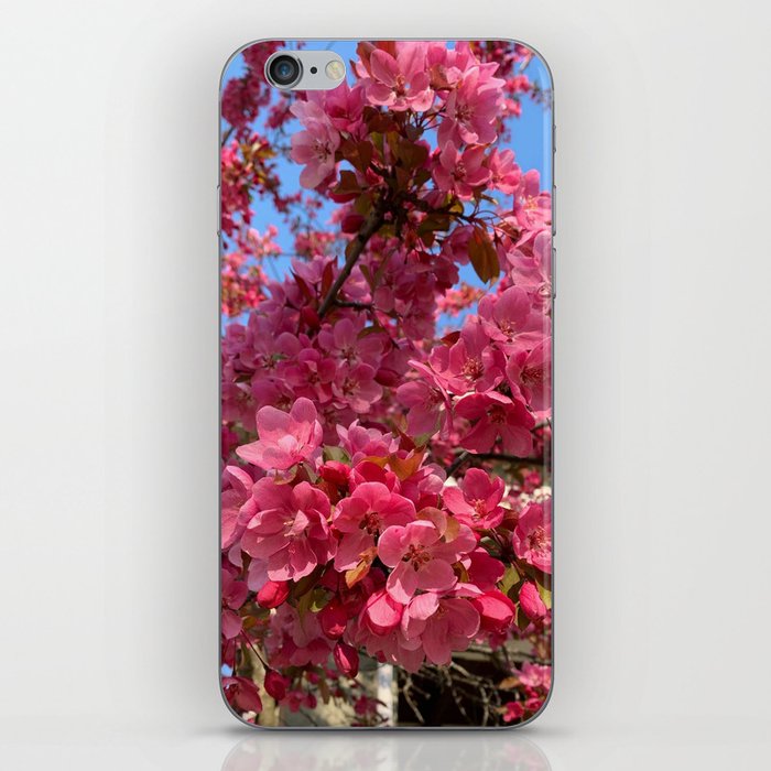 Spring Flowers in Bloom iPhone Skin