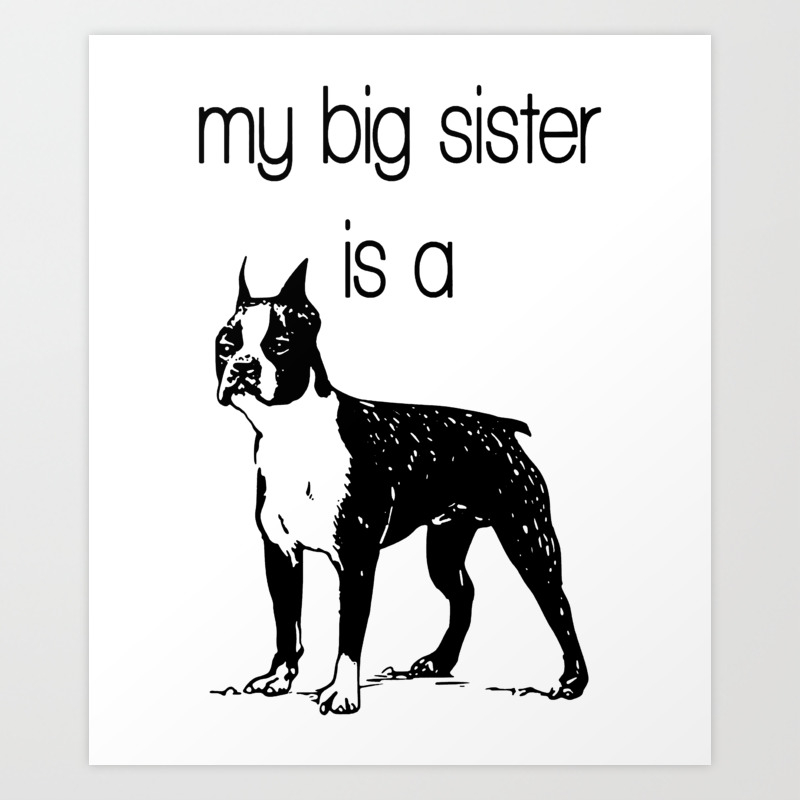Boston Terrier Baby Clothes Dog Baby Clothes Dog And Baby Dog