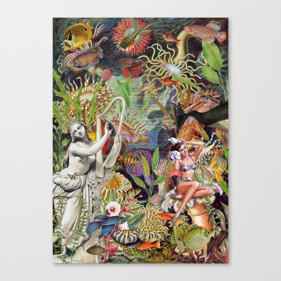 SARDINELLA Canvas Print