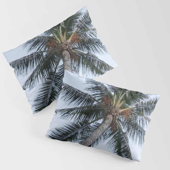 Mexico Photography - A Dry Palm Tree Seen From Below Pillow Sham