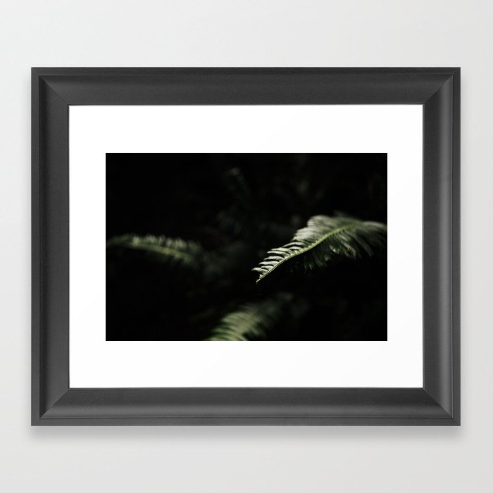 sword fern 1 Framed Art Print
