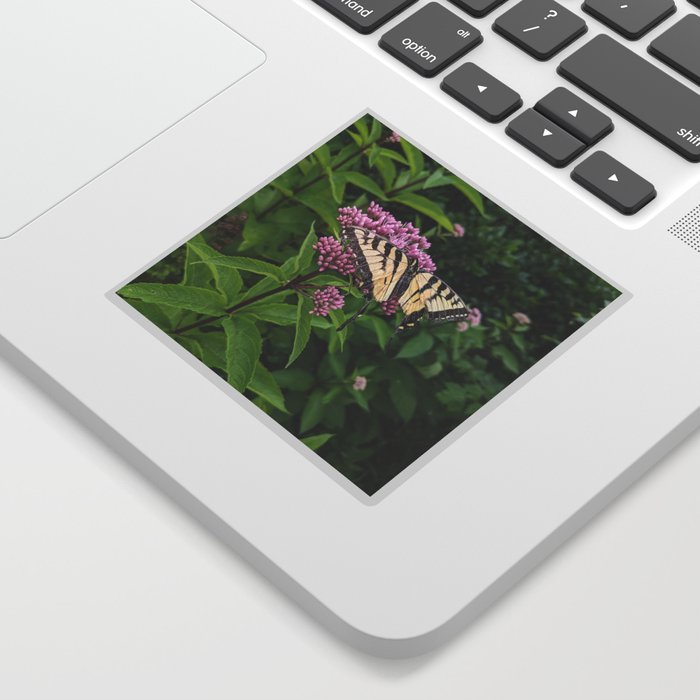 Eastern Tiger Swallowtail Sticker