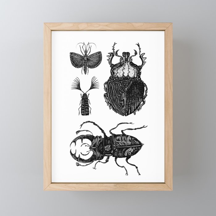 Insects Framed Mini Art Print