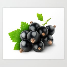 Black currants Art Print | Blackcurrants, Fruits, Healthy, Photo, Black, Branch, Cutout, Sticker, Vegan, Blackcurrant 