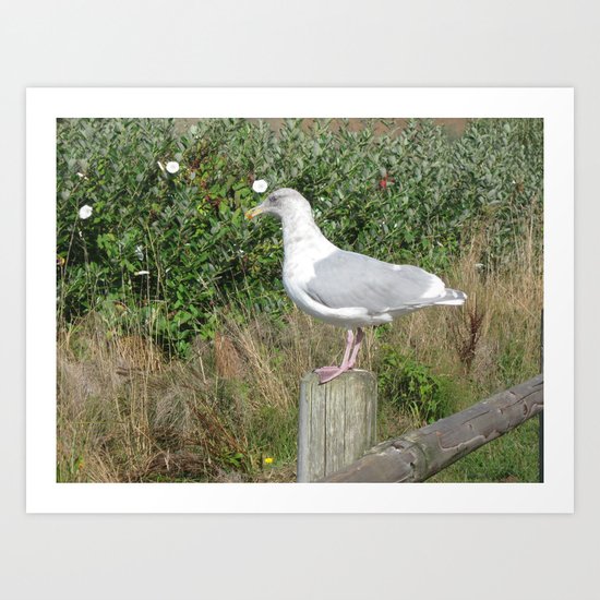 My Buddy Art Print