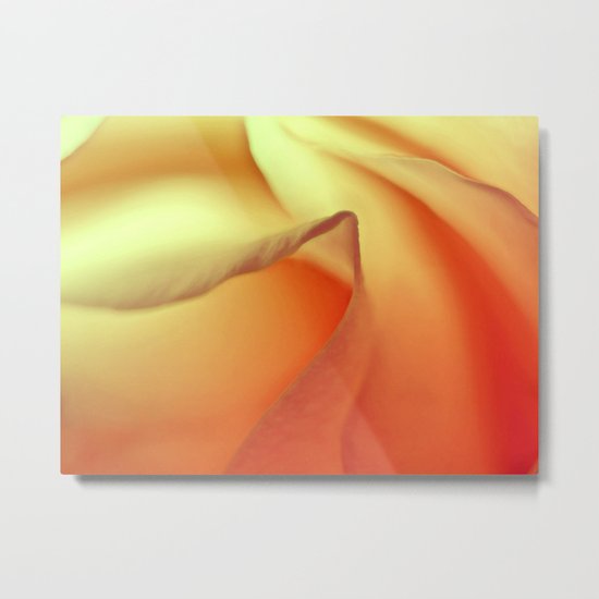 Golden Rose Metal Print