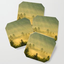 golden fog forest II Coaster