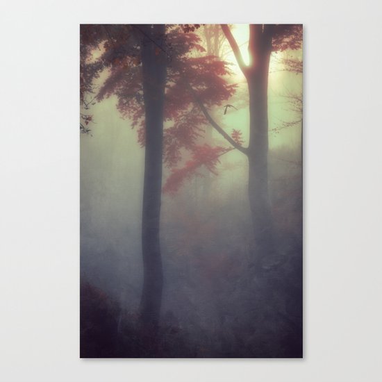 out of darkness Canvas Print
