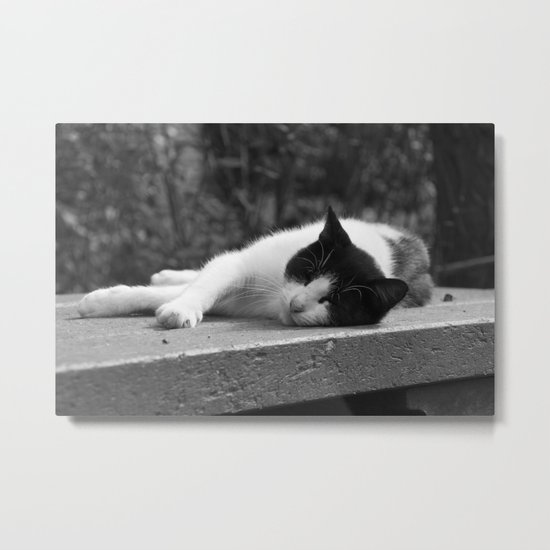 Cat in black & white Metal Print