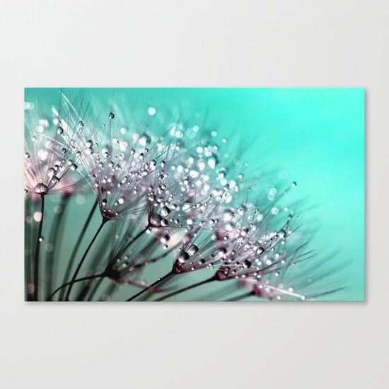 dandelion, mint, turquoise Canvas Print