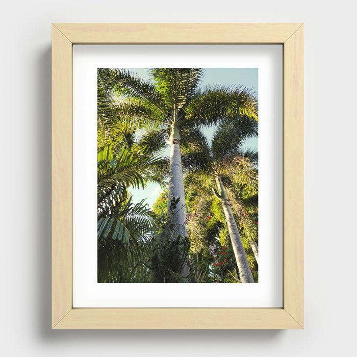 Palm Tree Garden Recessed Framed Print