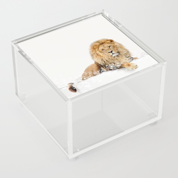 Lion in a Bathtub, Lion Taking a Bath, Lion Bathing, Whimsy Animal Art Print By Synplus Acrylic Box