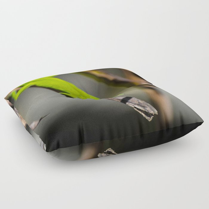 Green Carolina Anole Aloft Floor Pillow