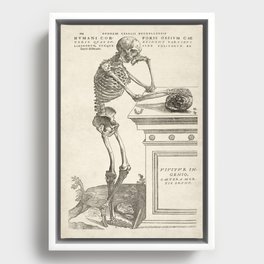 Andreas Vesalius Human Anatomy- Skeleton Contemplating A Skull Framed Canvas
