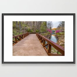Spring Walk Along Crystal Bridges Nature Trail Framed Art Print