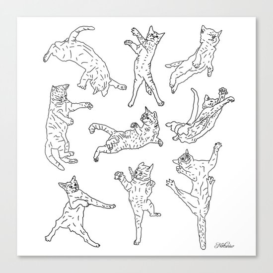 Flying Cats Canvas Print