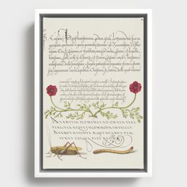 Vintage calligraphic poster with grasshopper Framed Canvas
