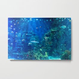 Under the Sea Metal Print | Photoshop, Watercolor, Fish, Nature, Blue, Aquatic, Digital Manipulation, Aquarium, Water, Photo 