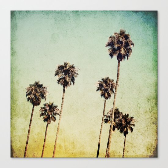 Palm Trees 2 Canvas Print