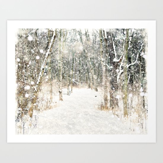 Winter Woods Art Print