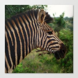 South Africa Photography - A Zebra In The Forest Canvas Print